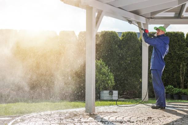 Best Dumpster Area Cleaning  in Pioneer, CA